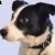 Edgar