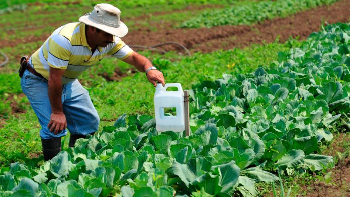 agricultor