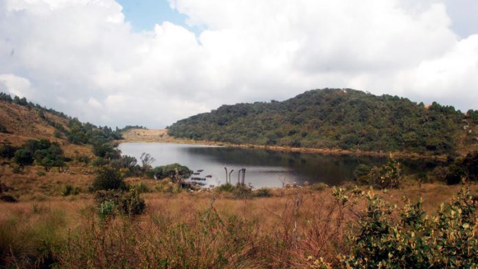 rabanal__paramo