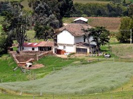 ¡A cuidar el agua en las veredas!