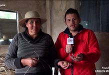 Las riquezas de Gachantivá