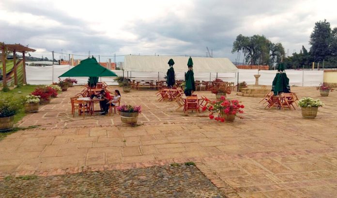 vinedo-eldiario-noticias-de-boyaca
