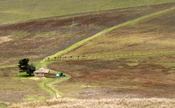 Boyacá es uno de los departamentos con menos formalización de predios