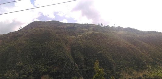 Las riquezas de Norte y Gutiérrez