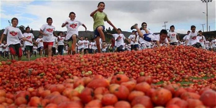 tomate-tomatina