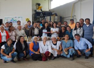 Café y frutas impulsan el desarrollo económico en el Valle de Tenza