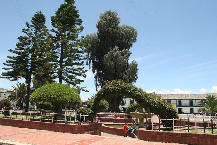 Firavitoba (7)