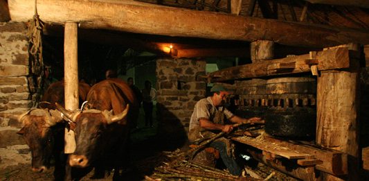 Pachavita expondrá su riqueza agropecuaria
