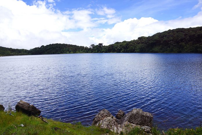 paramo