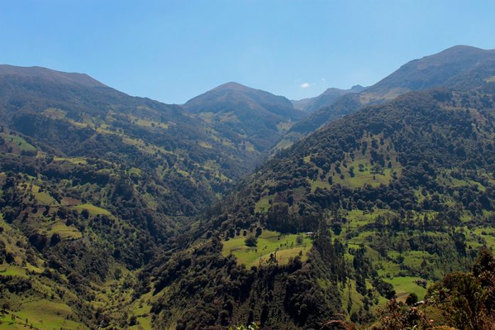 paramo-la-rusia
