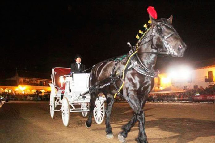 caballos
