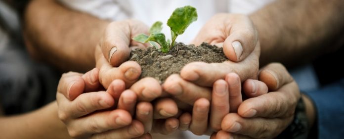 Gestión ambiental