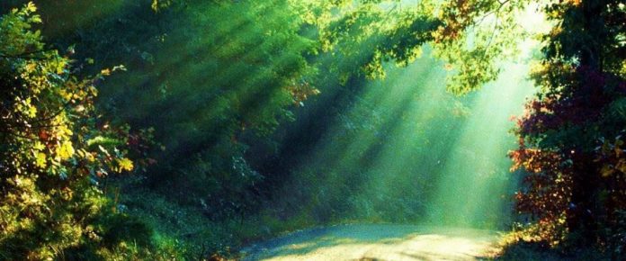 naturaleza-1