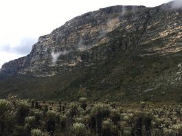 Ecoturismo, la nueva apuesta del suroriente boyacense