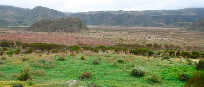 paramos