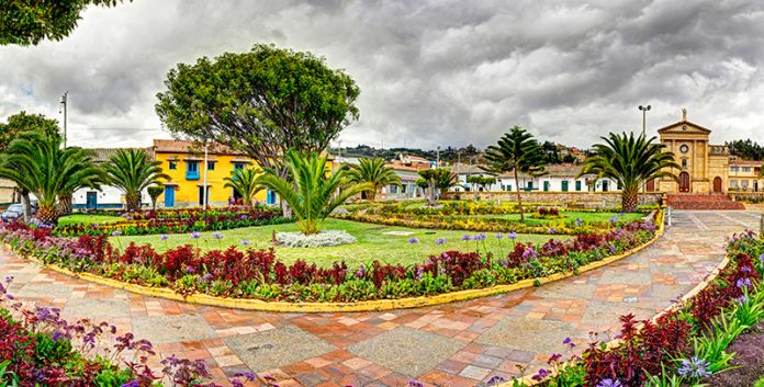 Samaca_0058b