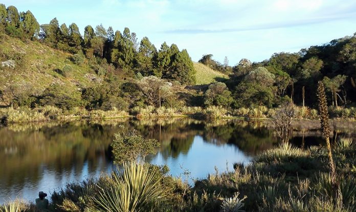 paramo-rabanal