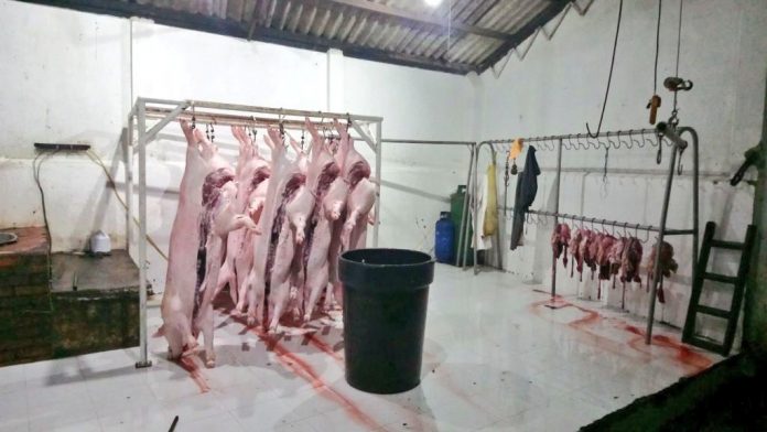 carne