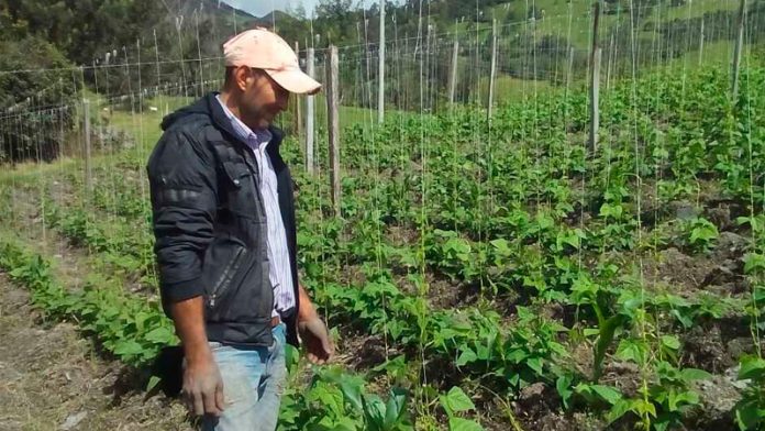 mintic-agro2