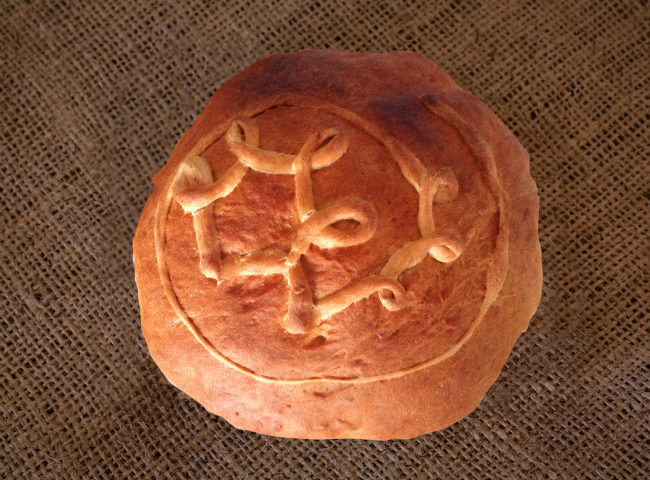 mogolla guayatuna