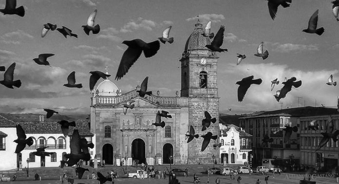 Palomas-plaza bolivar-tunja