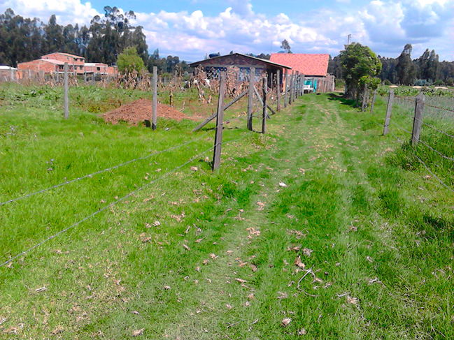 lote-duitama-3