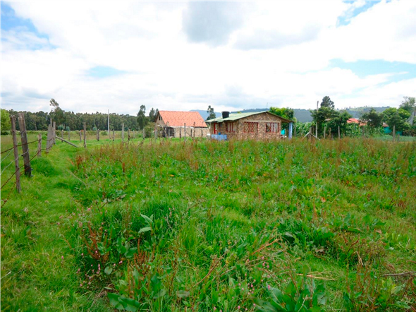 lote-duitama2