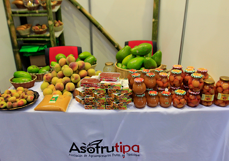 Expoboyaca-18-17