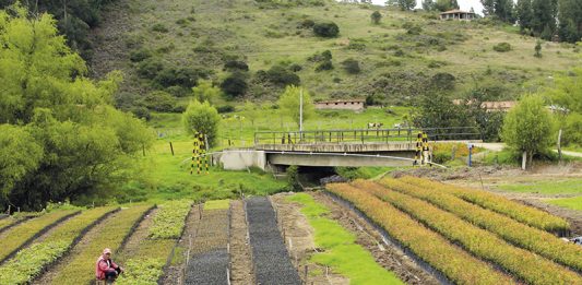 Las condiciones para el campesinado cambiarán para bien