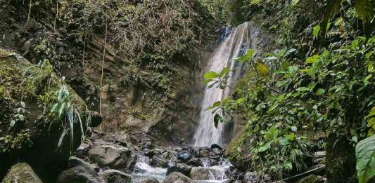 ‘Mazazo’ al ecoturismo por daño ambiental en Serranía de las Quinchas