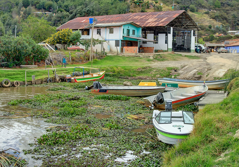 Galeria-Laguna-de-Fuquene-47