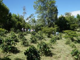 Suroriente boyacense, territorio agroambiental y sostenible