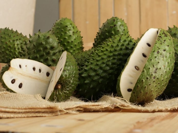 la-guanabana-como-repelente