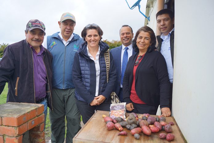 papas-nativas