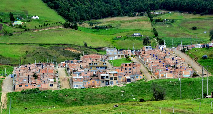 pinos-de-oriente-tunja