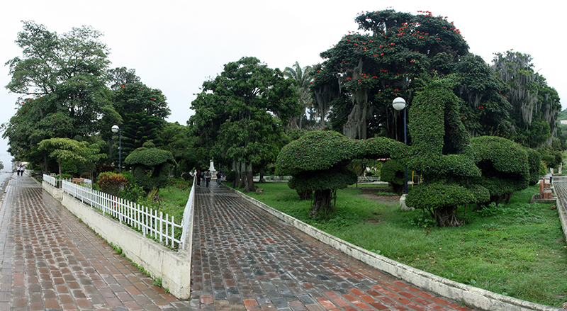 Soatá-(43)