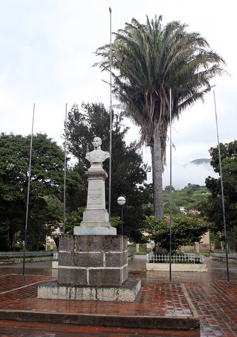 Soatá-(48)