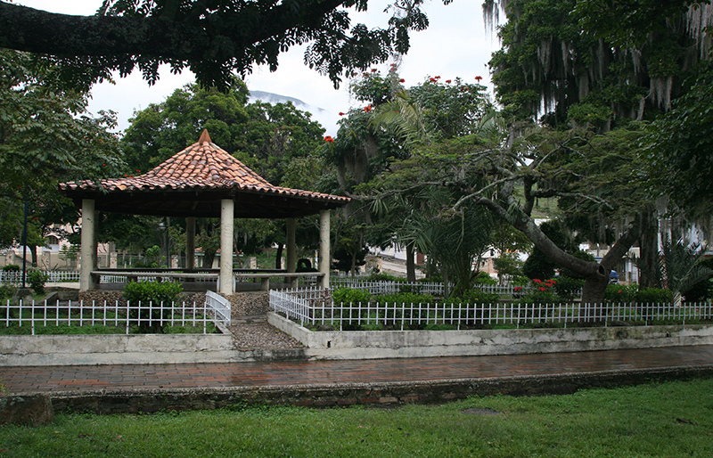 Soatá-(49)