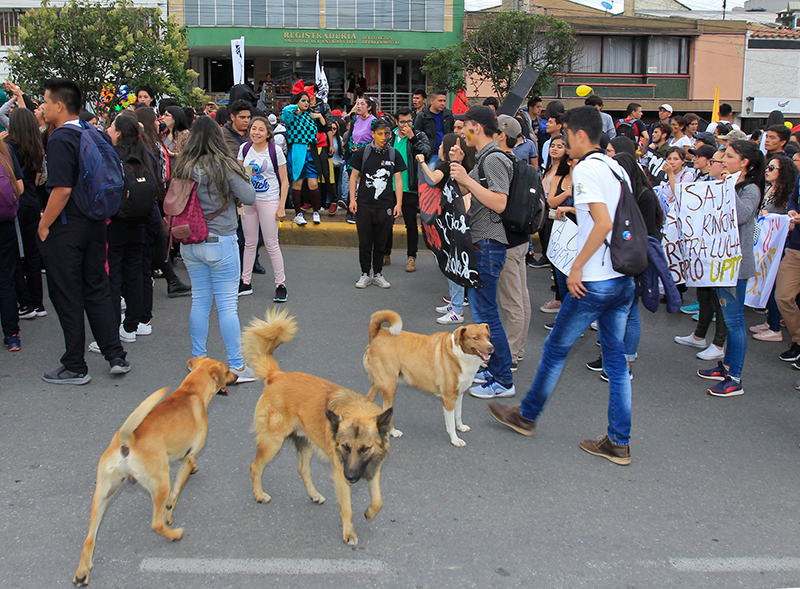 UPTC-protesta-nacional-36