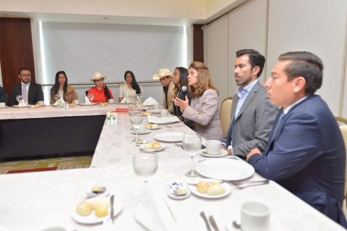 amaya-vicepresidenta