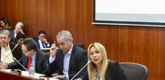 Sandra Ortiz sigue pidiendo consulta popular para escoger candidato verde a la Gobernación