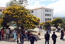 Pacto nacional por la Universidad Pública