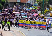 El ave Fénix: el movimiento universitario