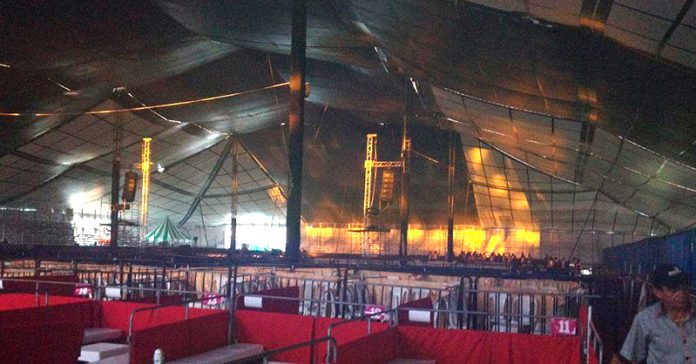 carpa-anagabriel