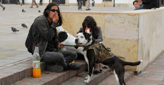desempleo-gente-tunja