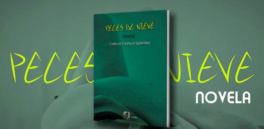 “Peces de nieve” en Tunja y Duitama