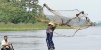 Multiplicación de peces en Puerto Boyacá