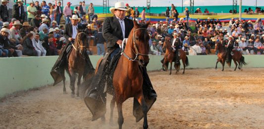 Paipa se prepara para una nueva edición de la Feria Exposición Equina Grado B
