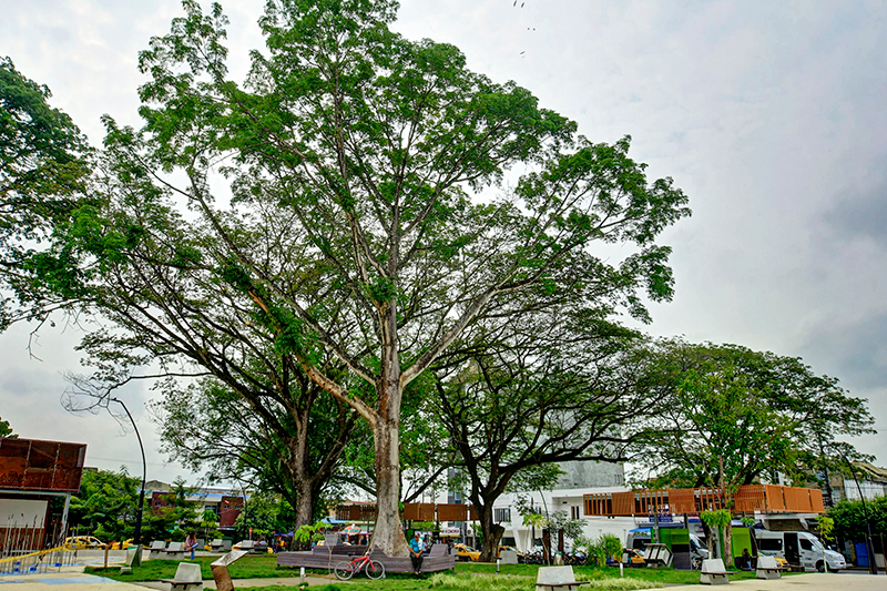 Puerto-Boyaca-19-038