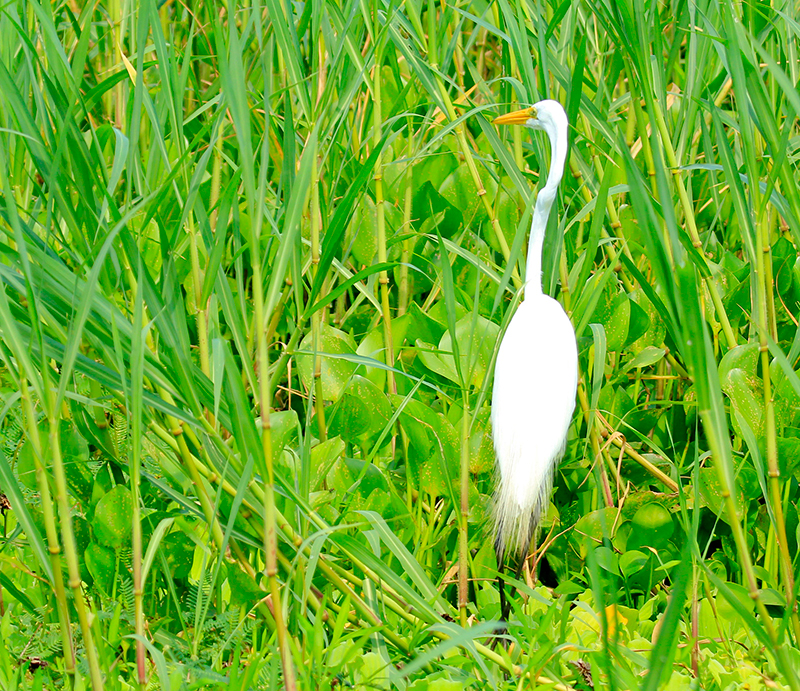 Puerto-Boyaca-19-104